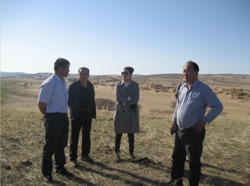 發(fā)揮資源優(yōu)勢，提高產(chǎn)業(yè)鏈競爭力——協(xié)會為企業(yè)間的合作搭建平臺