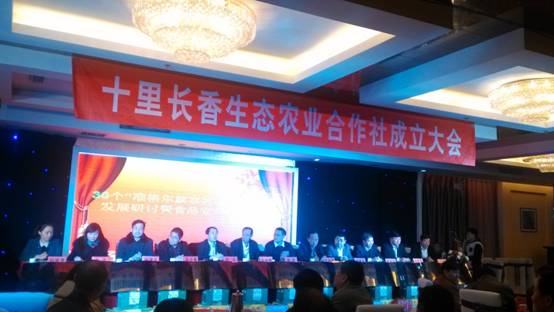 走過十里長川，拉開“十里長香”品牌的序幕