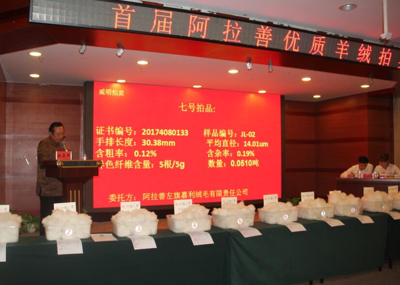 創(chuàng)新引領(lǐng)未來，品質(zhì)鑄就輝煌 首屆阿拉善優(yōu)質(zhì)羊絨拍賣會盛大舉行